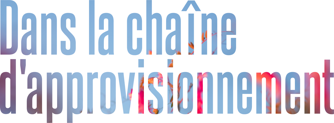 Chaine d'approvisionnement garantie - Molini Pivetti