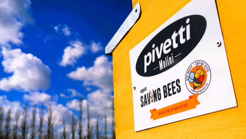 Molini Pivetti insieme a Saving Bees per la salvaguardia della biodiversità - Molini Pivetti
